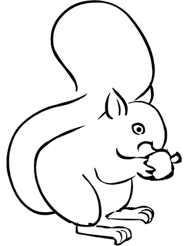 Squirrel Eating Acorn Coloring Page